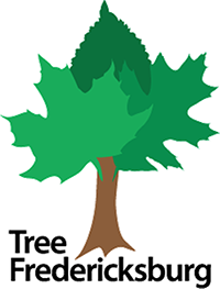 tree Fredericksburg logo with graphic of a tree