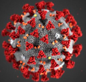 Virus with red and gray background