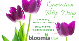 Tulip Event