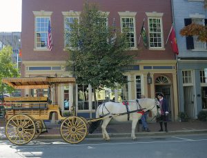 Horse and Carriage in front of Fredericksburg Visitor Center